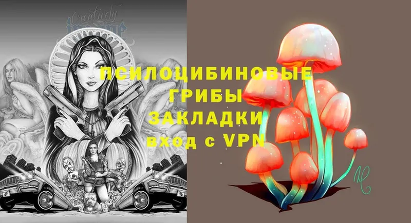 Псилоцибиновые грибы Cubensis  где можно купить   мориарти какой сайт  Кизел 